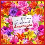 день рождения Александра