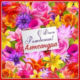 день рождения Александра