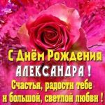 день рождения Александра