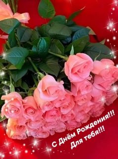 день рождения розы