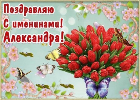 именины Александра