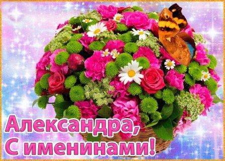 именины Александра