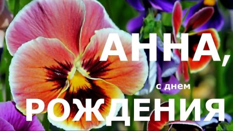 Анна день рождения